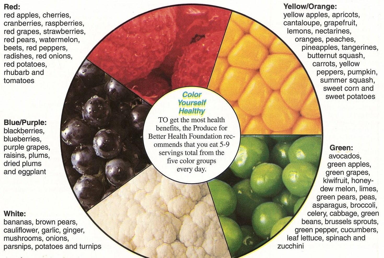 Food Color Wheel Chart