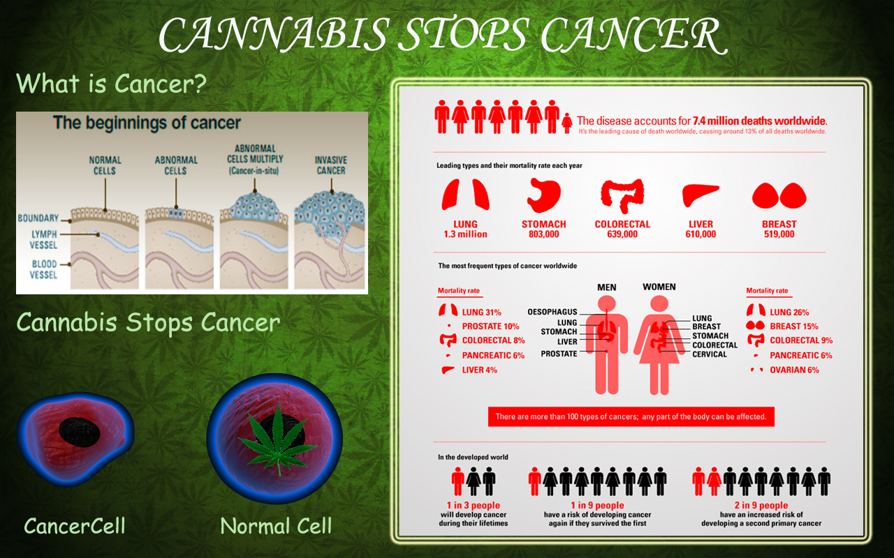 Cannabis-Stops-Cancer