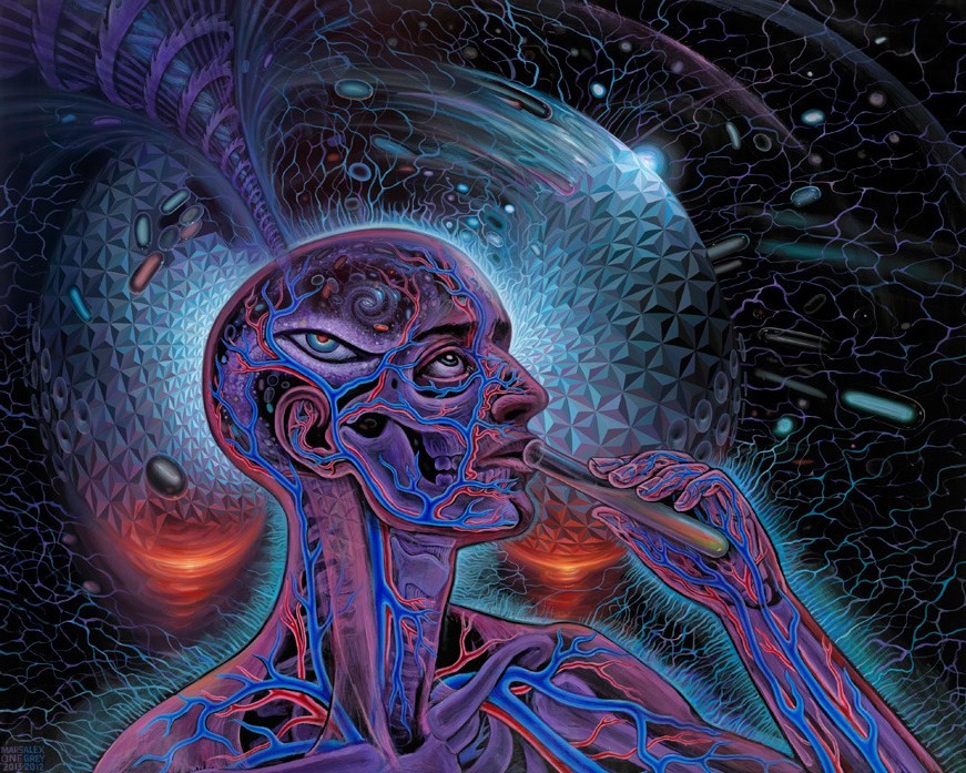 Psychedelic Spirit Paintings, Alex Grey Art Gallery | Third Monk image 15
