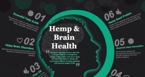 Cannabis Prevents Brain Disease By Removing Damaged Cells (Study) | Third Monk 