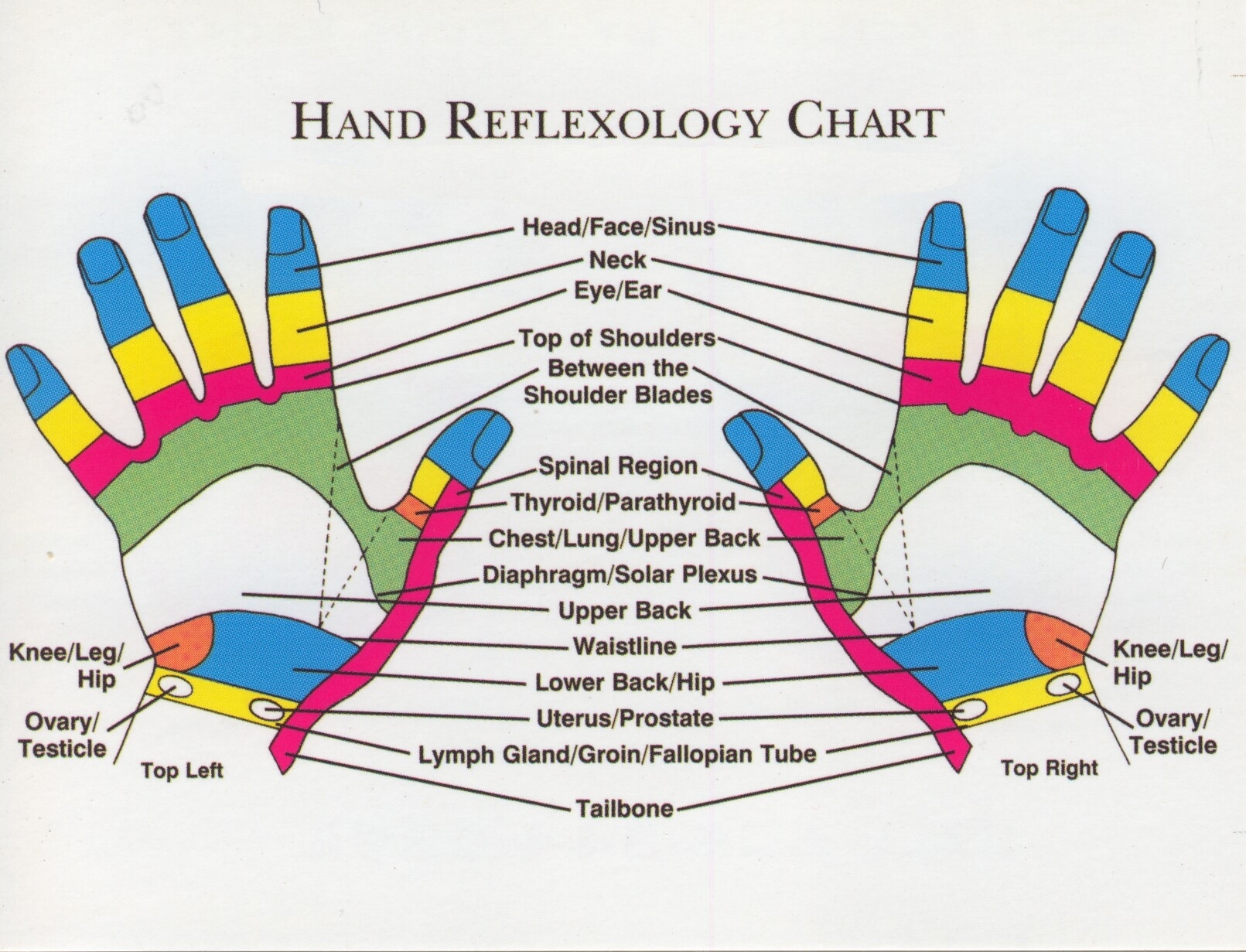 Zone Therapy Hand Chart