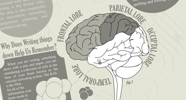 How Does Writing Affect Your Brain? (Infographic) | Third Monk image 2