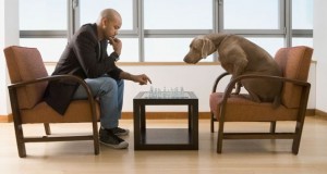 The Intelligent and Conscious Behavior of Dogs (Video) | Third Monk image 2
