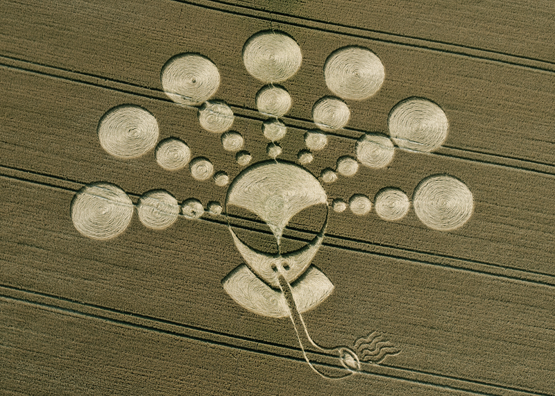 Alien-crop-circle