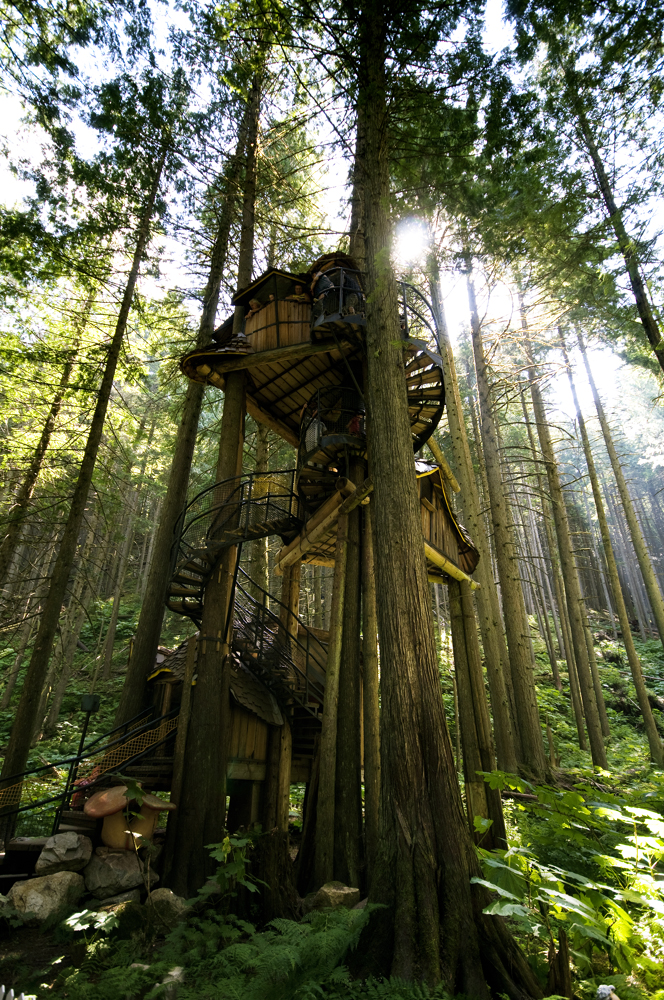 Enchanted-forest-treehouses