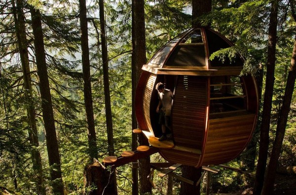 amazing-treehouse