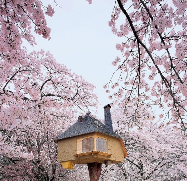 Beautiful Treehouses From Around the World (Photo Gallery, Video) | Third Monk image 13