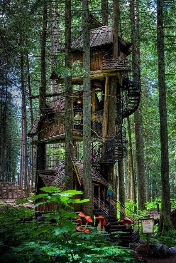 amazing-treehouses