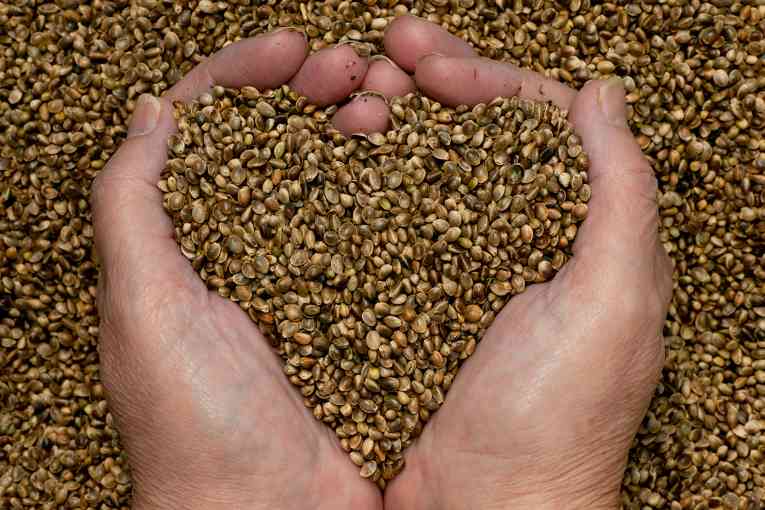hemp-seed-oil-heart