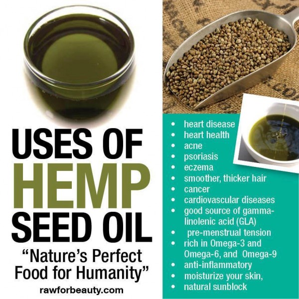 Benefits of Hemp Oil Nutrition, Disease Prevention, and Skin Care