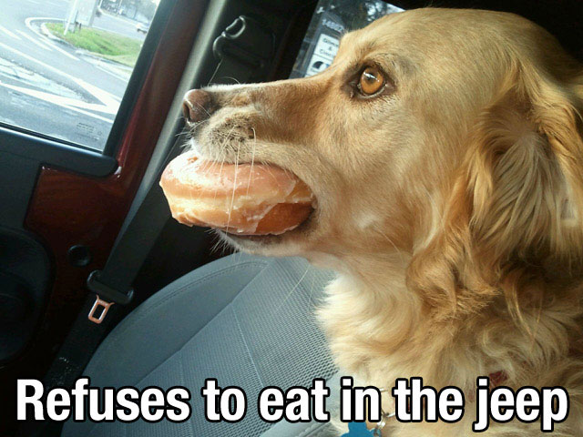 Dog with Manners