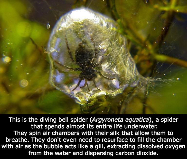 incredible-photo-facts-83420477