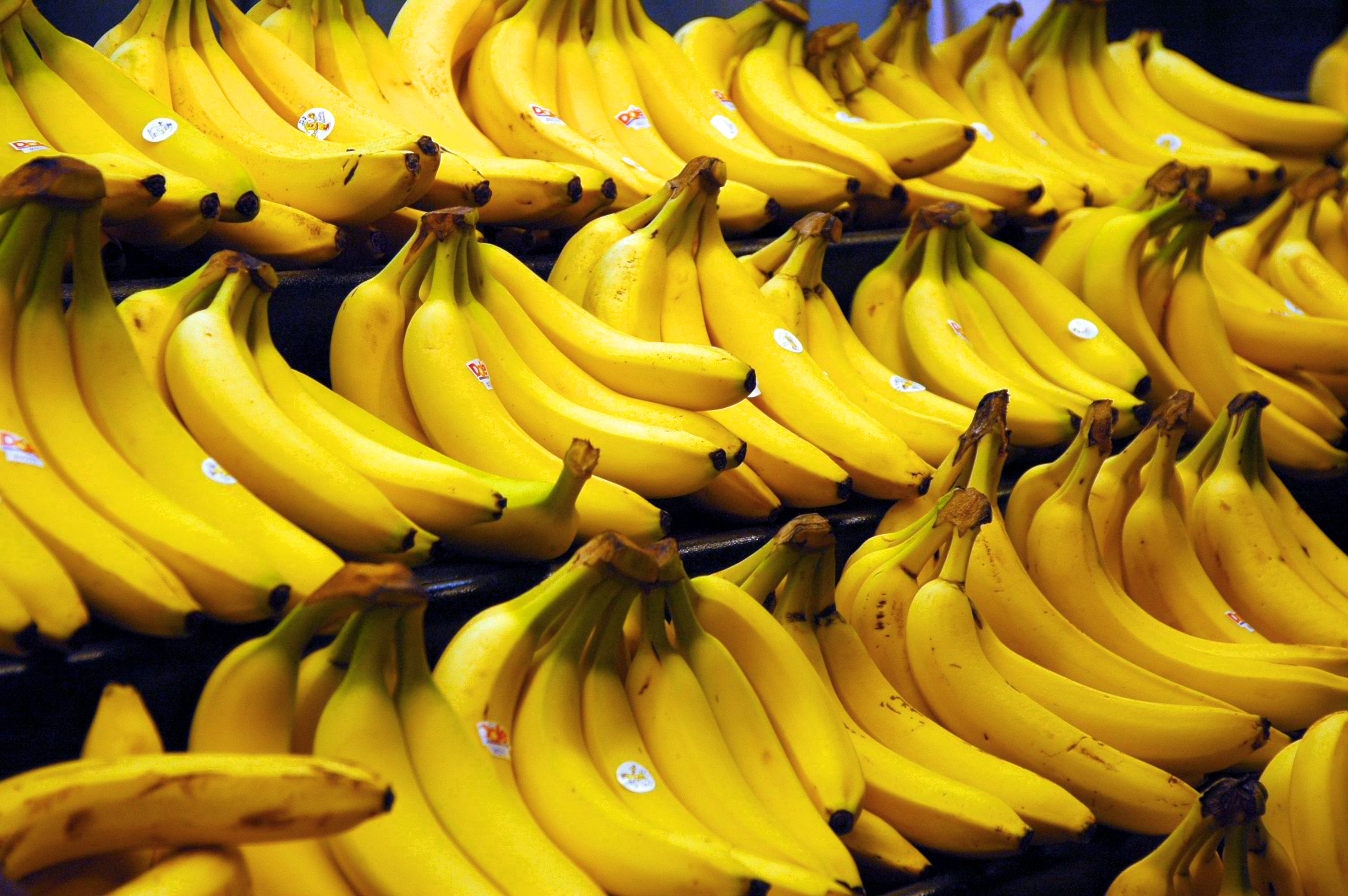 You'll Never Look at a Banana the Same Again | Third Monk image 14