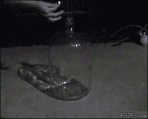 Flammable Gas Lit In A Glass Jar - Chemical Reaction