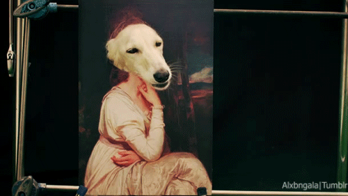 funny-dog-gifs-painting