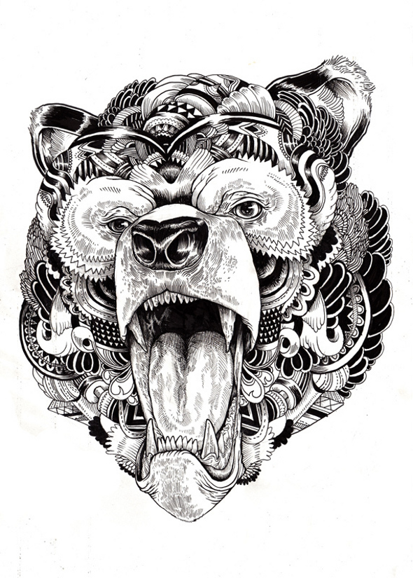 animal illustration