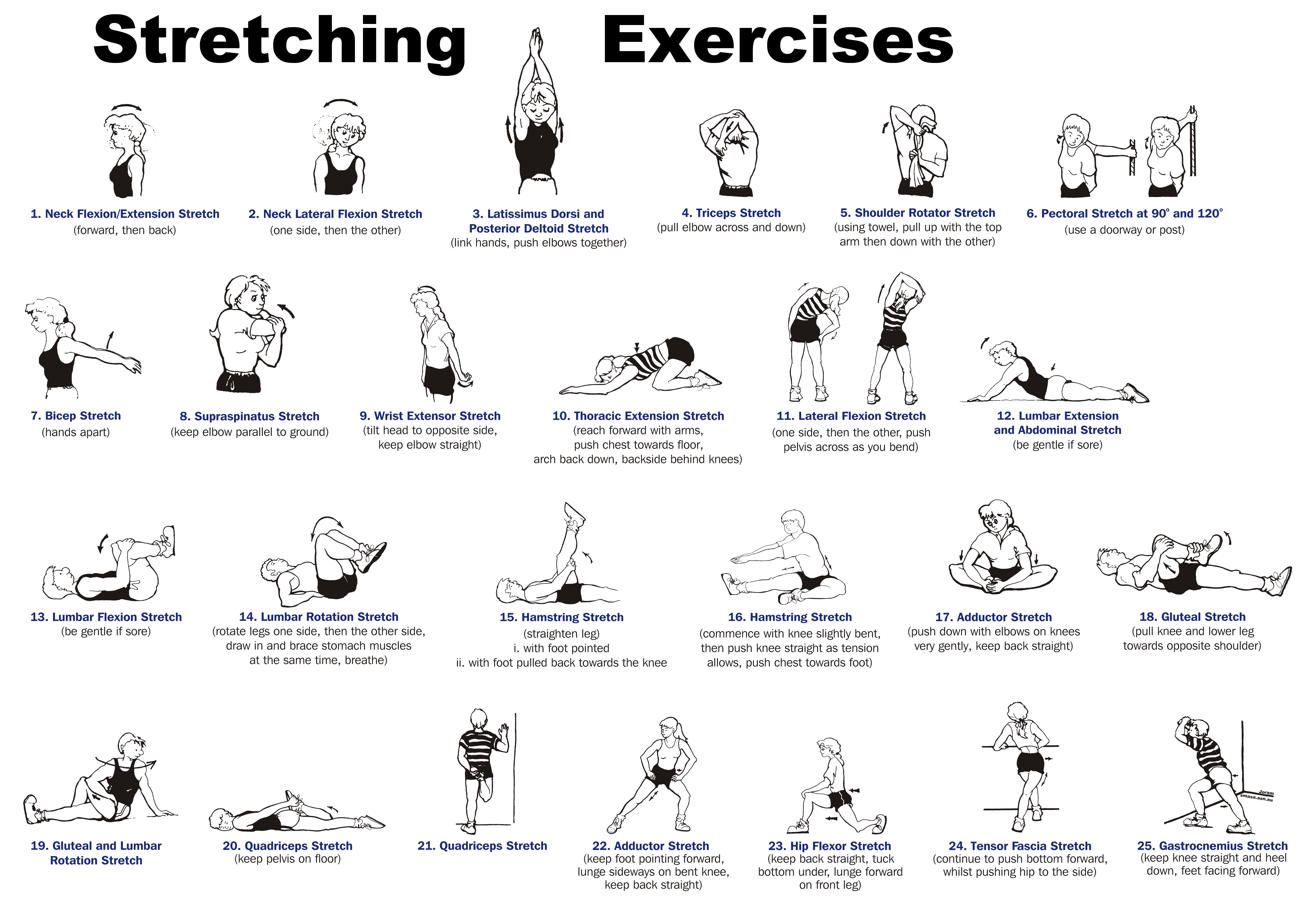 What Are The Stretching Exercises