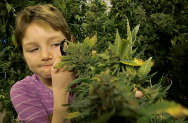 stoned-kids_vice_Cannabis