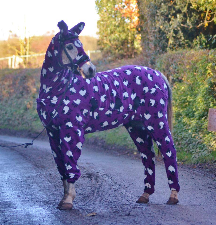purple horse - Animals in Sweaters