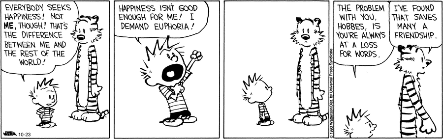 Calvin and Hobbes Euphoria