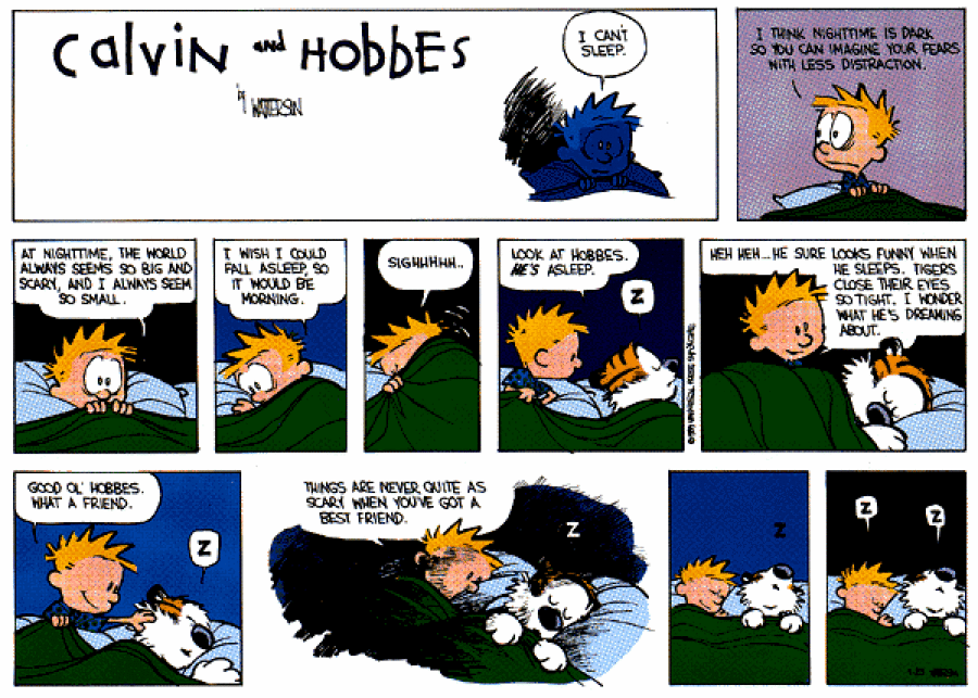 Calvin and Hobbes Night Time