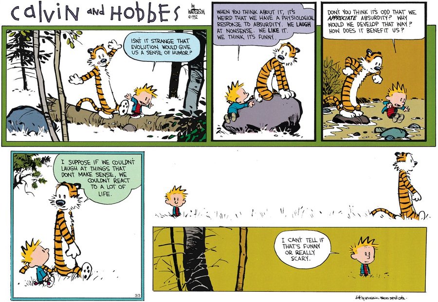 Calvin-and-Hobbes-Sense-of-Humor.jpg