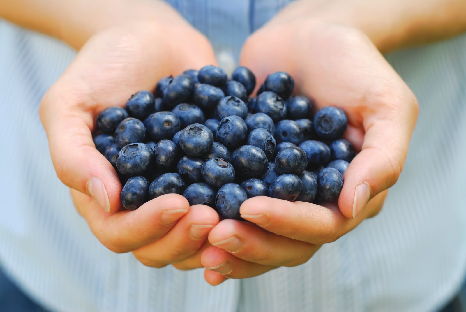 Holistic Pain Remedies - Blueberries