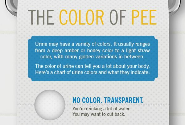 The Color of Pee - What Your Urine Says About You (Infographic) | Third Monk image 2