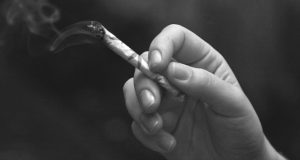 Stoners Have Better Cognitive Skills Than Non-Tokers (Study) | Third Monk image 4