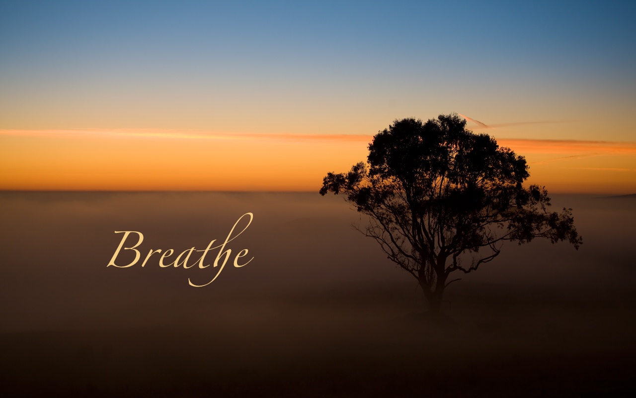 Breathe-Tree-in-the-Mist-1280x800