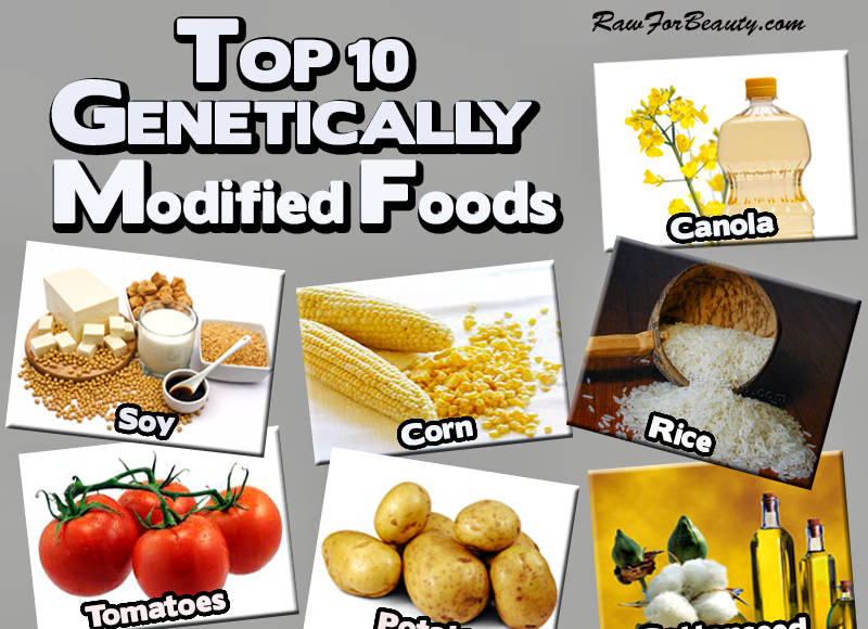 GMO Foods to Avoid - Say No to Monsanto! | Third Monk image 12