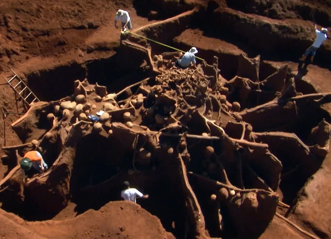 giant-ant-hill-colony-impresses-scientists-video-third-monk