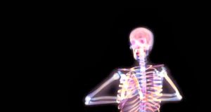 X-Ray Yoga - The Bones Behind The Poses (Video) | Third Monk image 5