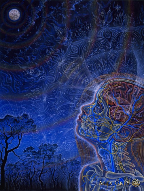 fb-tw-gp-tu-psychedelic-contemplation-alex-grey Psychedelic Research