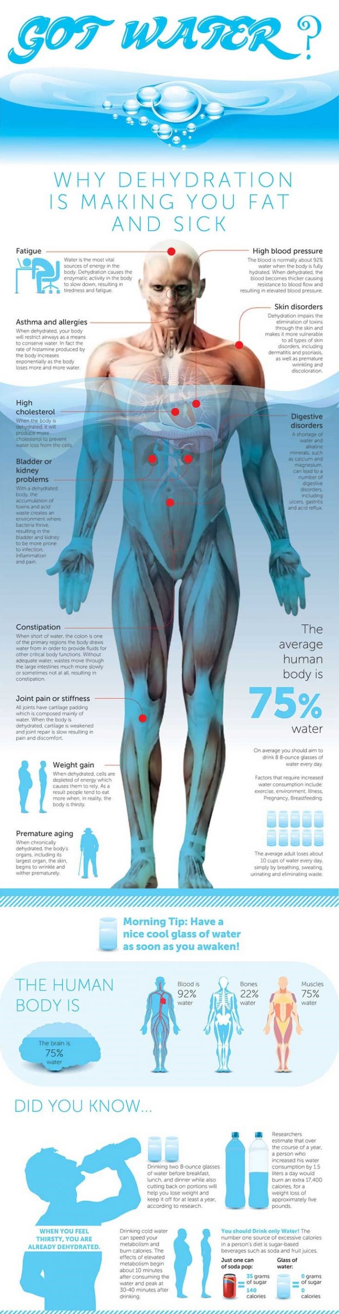 negative-health-effects-of-dehydration-infographic-third-monk