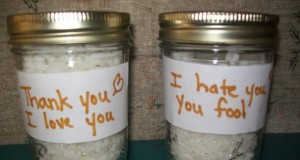 Dr. Masaru Emoto's Rice Emotions Experiment (Video) | Third Monk 