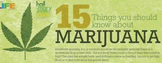 15 Things You Should Know About Marijuana (Infographic) - Karma Jello