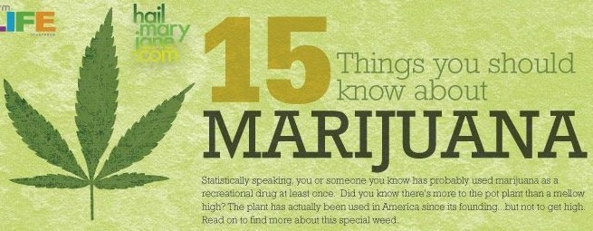 15 Things You Should Know About Marijuana (Infographic) | Third Monk image 2