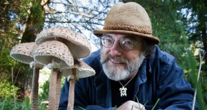 How Mushrooms Can Save The World - Paul Stamets Ted Talk (Video) | Third Monk image 2