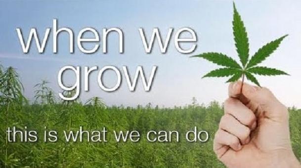 When We Grow - Cannabis Technology, Medicinal Uses and Legislation Documentary (Video) | Third Monk 