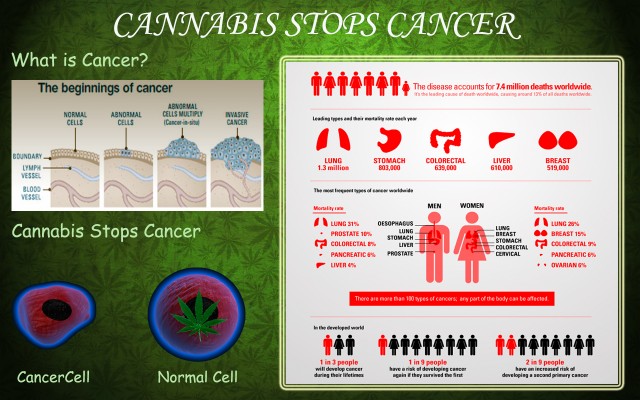 Cannabis Cures Cancer - The Science Behind Marijuana's Cancer Fighting ...