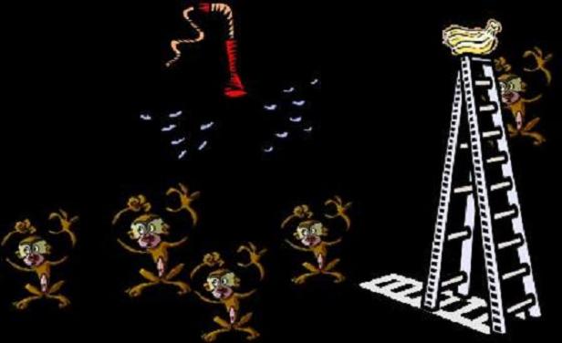 The Monkey Ladder Experiment - Following False Beliefs (Comic Strip) | Third Monk image 2