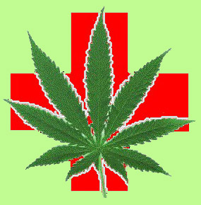 Medical Marijuana Laws, State Comparison (Infographic) | Third Monk image 2