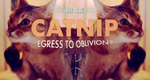 Catnip: Egress to Oblivion, Psychedelic Cats Short Film (Video) | Third Monk 
