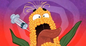 GMO A GO GO? - Animation on Monsanto's Food Poisoning (Video) | Third Monk 