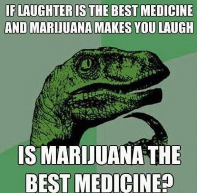 Funny Stoner Weed Memes Photo Gallery #1 - Third Monk