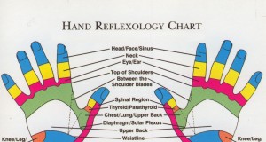 Does Pressure Point Therapy, Reflexology Really Work? (Guide) | Third Monk image 3