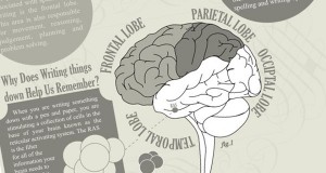 How Does Writing Affect Your Brain? (Infographic) | Third Monk image 2