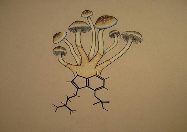 Magic Mushrooms Stimulate Growth of New Brain Cells (Study) | Third Monk image 2