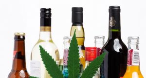 Cannabis Prevents Brain Damage Caused by Binge Drinking (Study) | Third Monk image 3